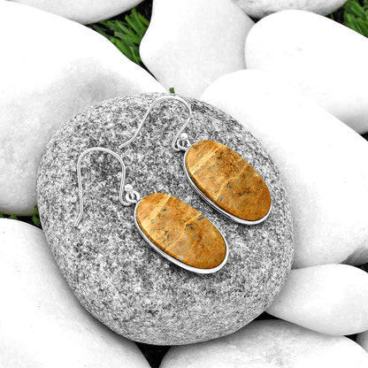 Natural Palm Root Fossil Agate Earrings E-1001 SDE74819