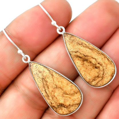 Natural Picture Jasper Earrings E-1001 SDE74830