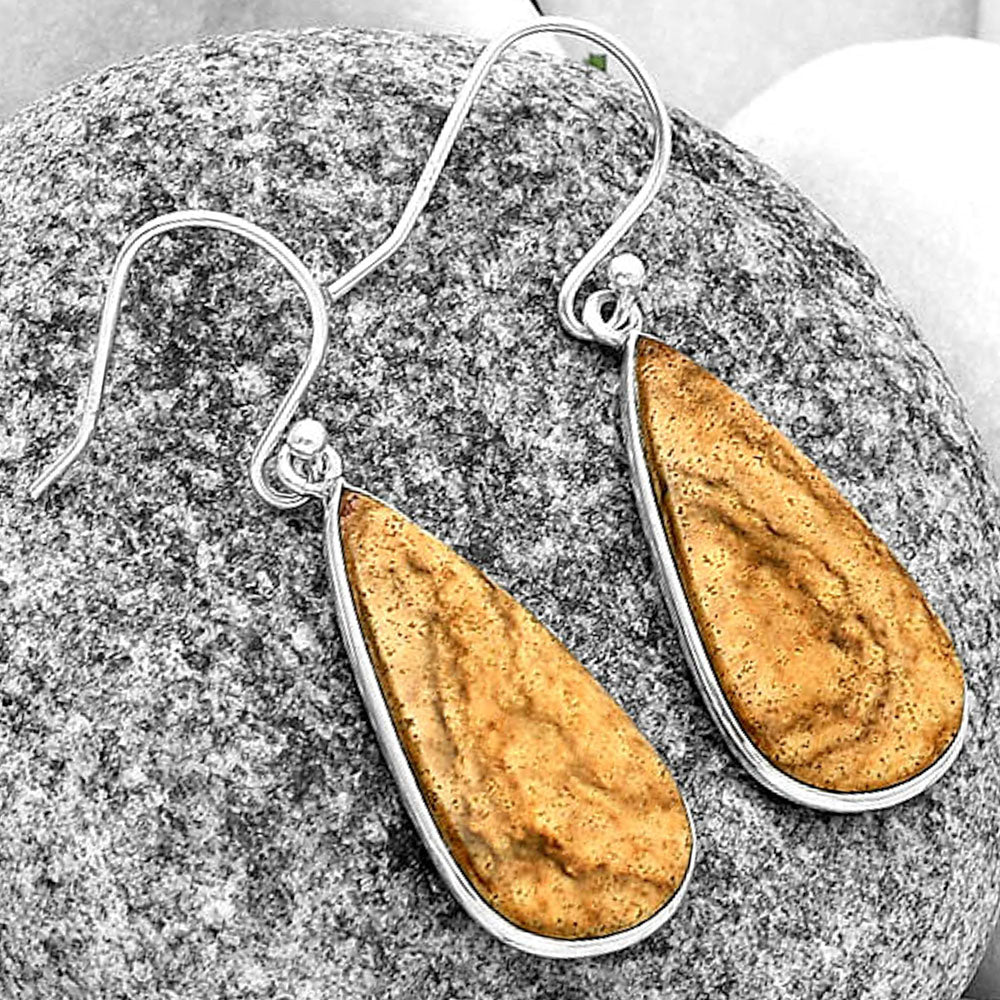 Natural Picture Jasper Earrings E-1001 SDE74830
