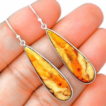 Natural Coral Jasper Earrings E-1001 SDE75449