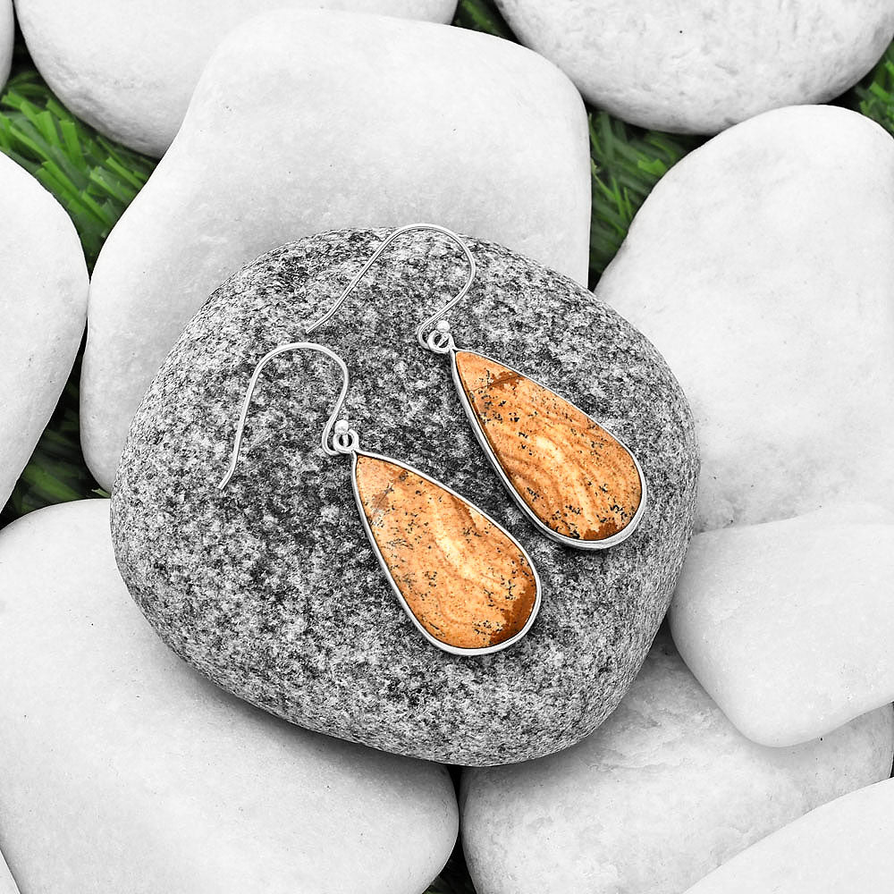 Natural Picture Jasper Earrings E-1001 SDE75832