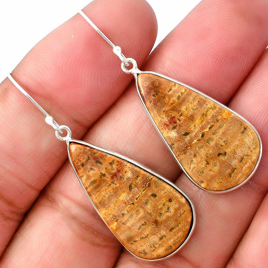 Natural Palm Root Fossil Agate Earrings E-1001 SDE75833