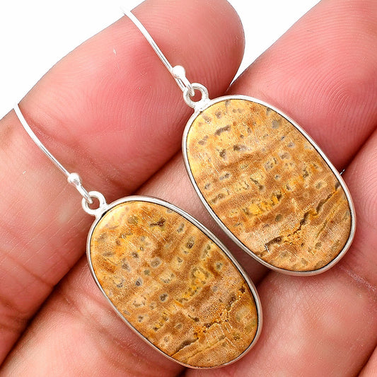 Natural Palm Root Fossil Agate Earrings E-1001 SDE75834