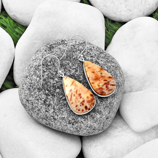 Natural Palm Root Fossil Agate Earrings E-1001 SDE75837