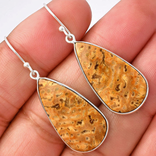 Natural Palm Root Fossil Agate Earrings E-1001 SDE77114