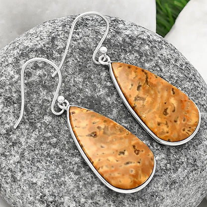 Natural Palm Root Fossil Agate Earrings E-1001 SDE77114