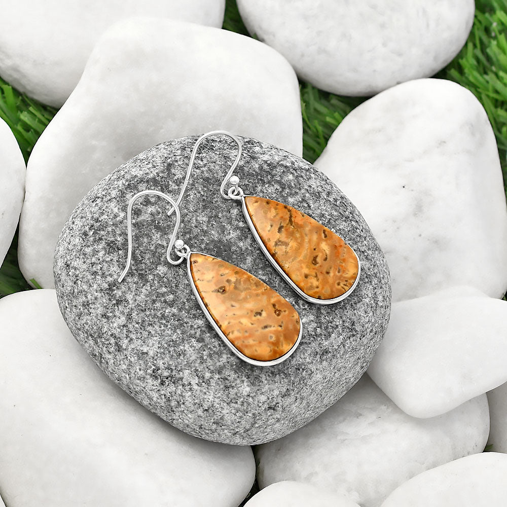 Natural Palm Root Fossil Agate Earrings E-1001 SDE77114