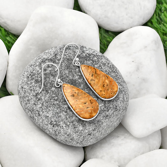 Natural Palm Root Fossil Agate Earrings E-1001 SDE77114