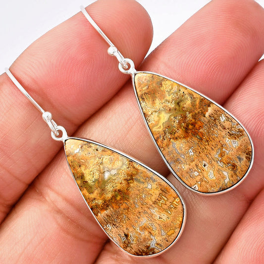 Natural Palm Root Fossil Agate Earrings E-1001 SDE77117