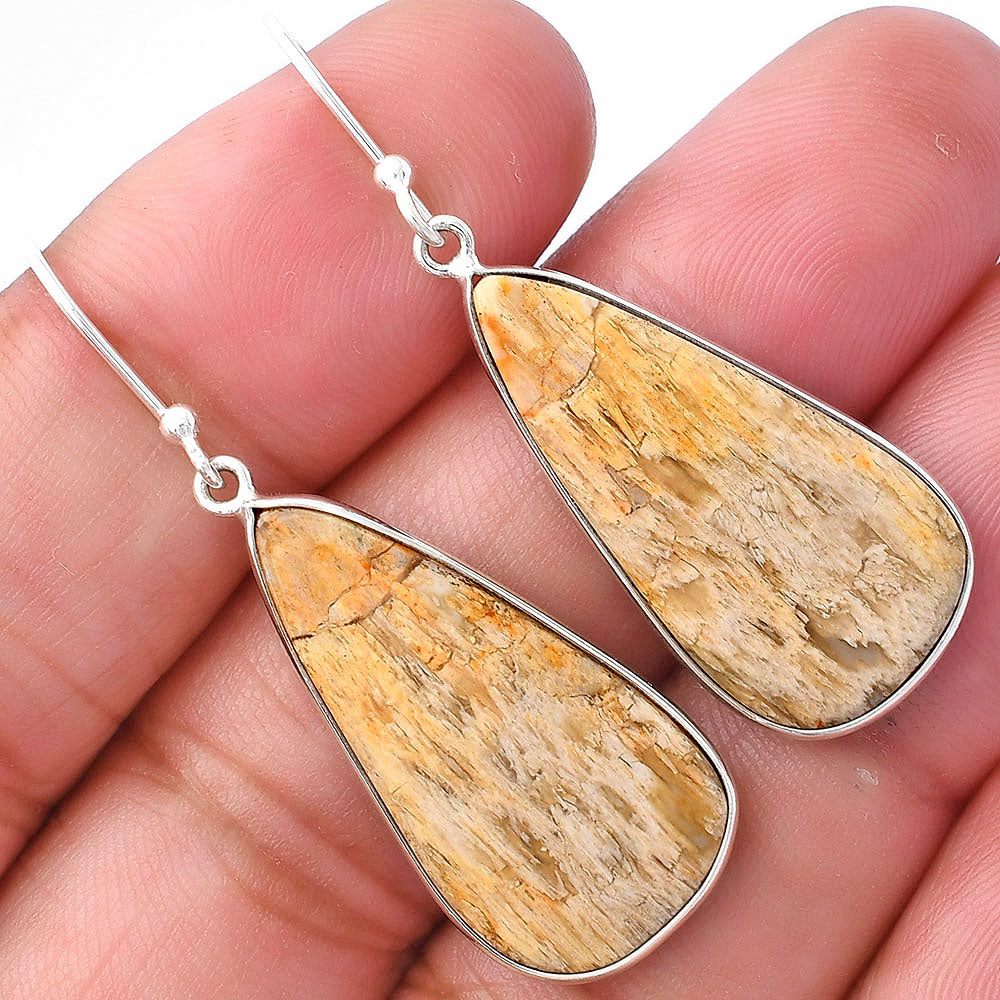 Natural Palm Root Fossil Agate Earrings E-1001 SDE79884