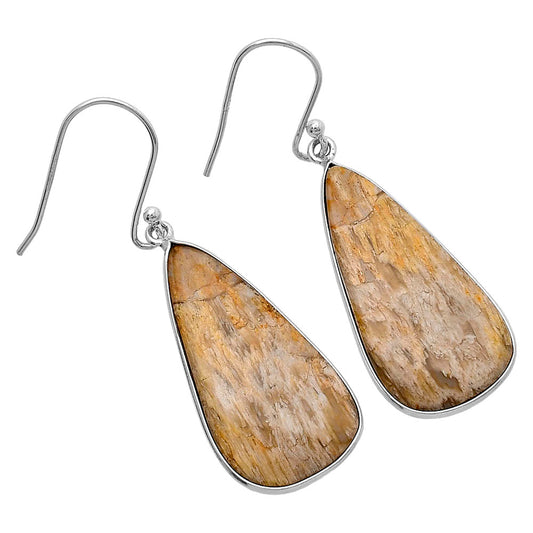 Natural Palm Root Fossil Agate Earrings E-1001 SDE79884