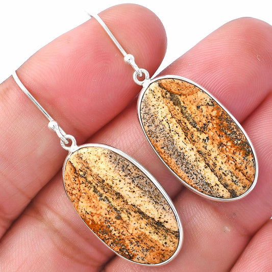 Natural Picture Jasper Earrings E-1001 SDE79886