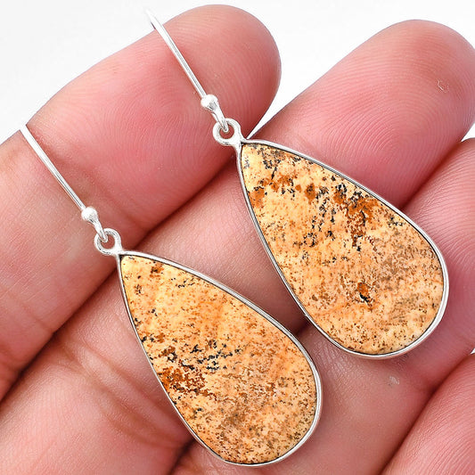 Natural Picture Jasper Earrings E-1001 SDE79896