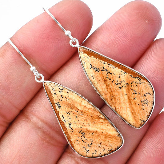 Natural Picture Jasper Earrings E-1001 SDE79897