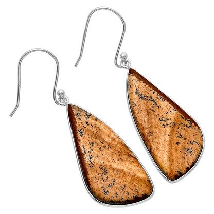 Natural Picture Jasper Earrings E-1001 SDE79897