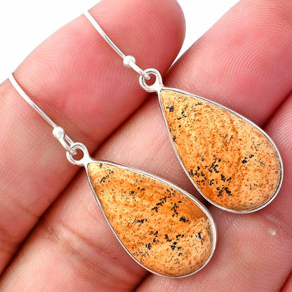 Natural Picture Jasper Earrings E-1001 SDE80069