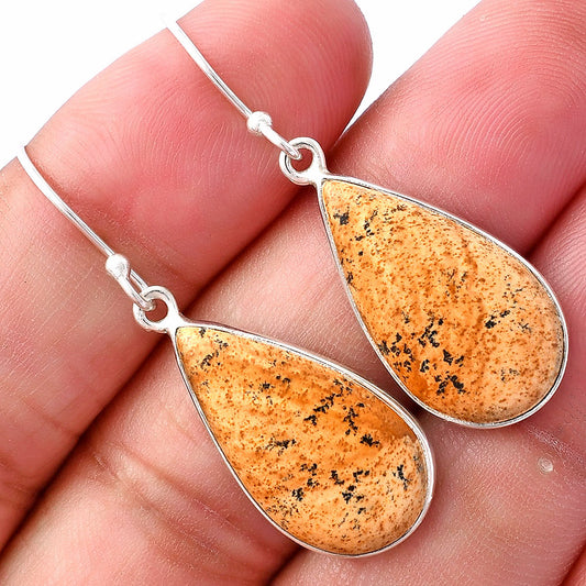 Natural Picture Jasper Earrings E-1001 SDE80069