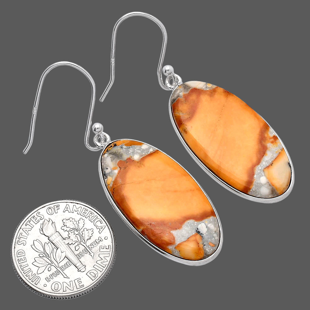 Natural Picture Jasper Earrings E-1001 SDE81776