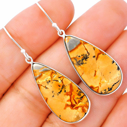 Natural Picture Jasper Earrings E-1001 SDE81793