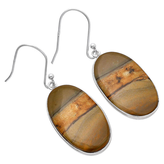 Natural Picture Jasper Earrings E-1001 SDE81802