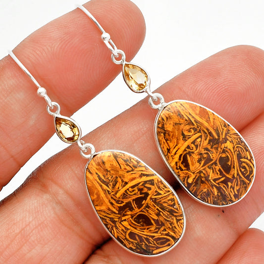 Coquina Fossil Jasper & Citrine Earrings E-1002 SDE82526
