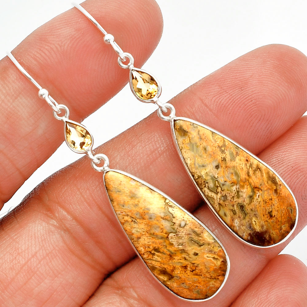 Palm Root Fossil Agate & Citrine Earrings E-1002 SDE82536