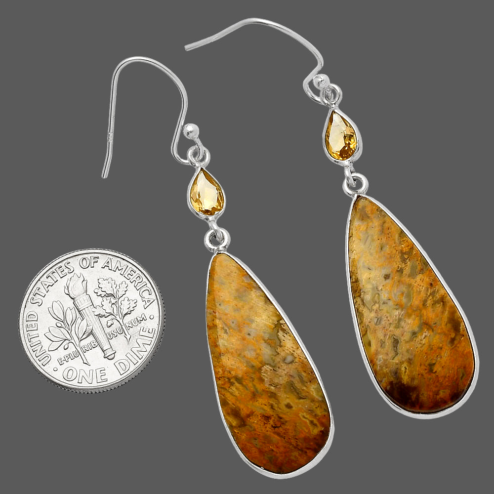 Palm Root Fossil Agate & Citrine Earrings E-1002 SDE82536