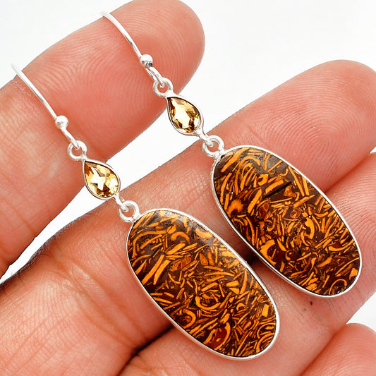 Coquina Fossil Jasper & Citrine Earrings E-1002 SDE82543