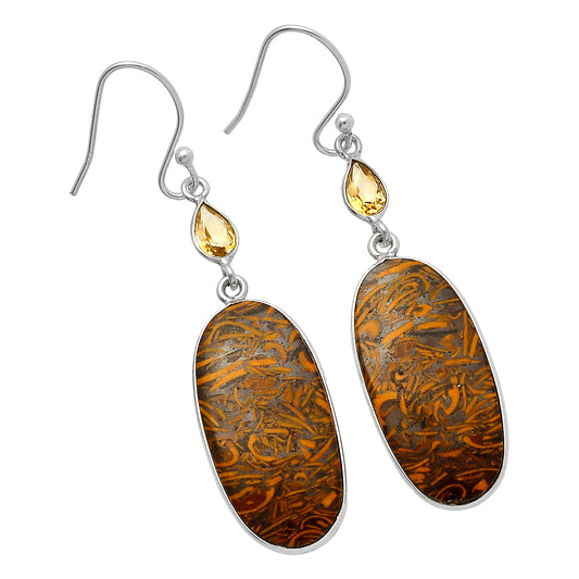 Coquina Fossil Jasper & Citrine Earrings E-1002 SDE82543