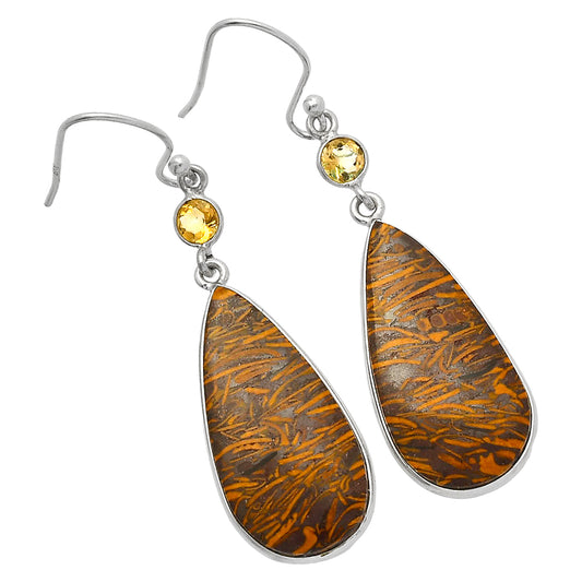 Coquina Fossil Jasper & Citrine Earrings E-1002 SDE82547