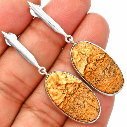 Natural Picture Jasper Earrings E-1078 SDE83421