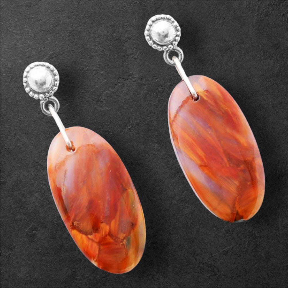 Natural Pietersite - Namibia Earrings E-1227 SDE86585