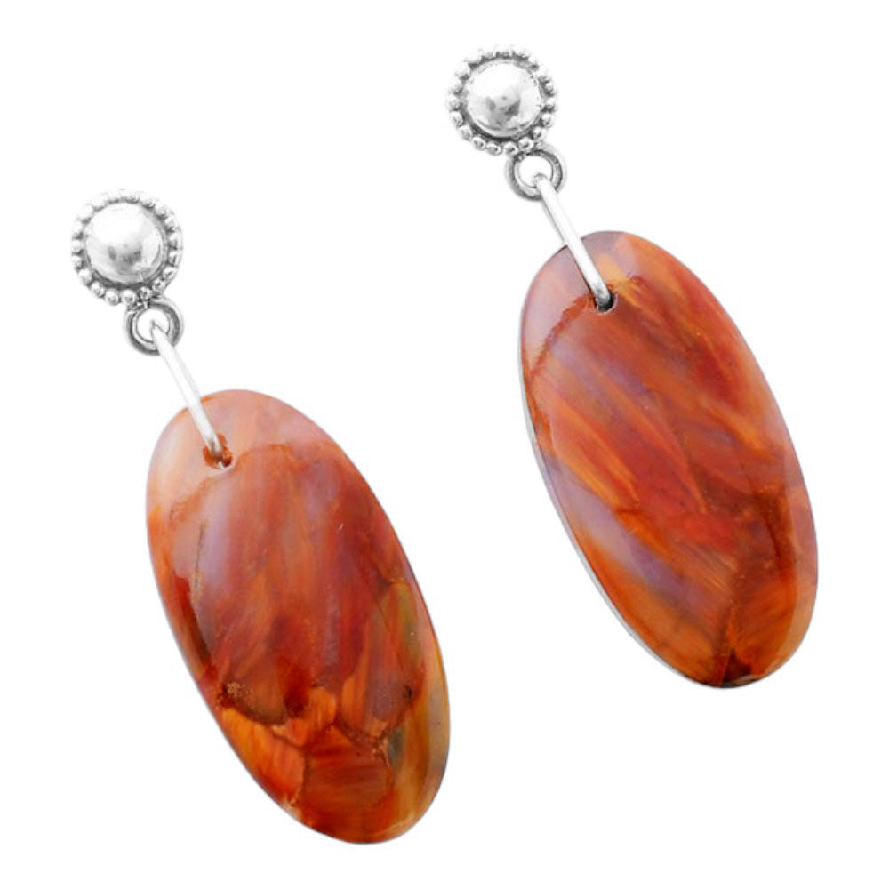 Natural Pietersite - Namibia Earrings E-1227 SDE86585