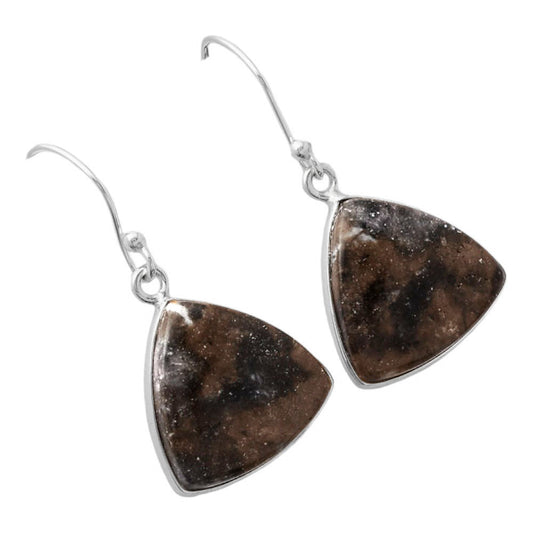 Natural Indian Blanket Jasper Earrings E-1001 SDE86768