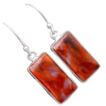 Natural Pietersite - Namibia Earrings E-1001 SDE86995