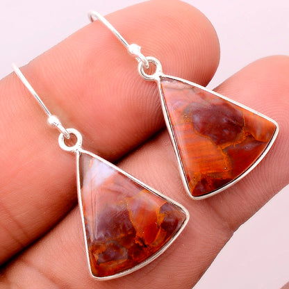 Natural Pietersite - Namibia Earrings E-1001 SDE86999