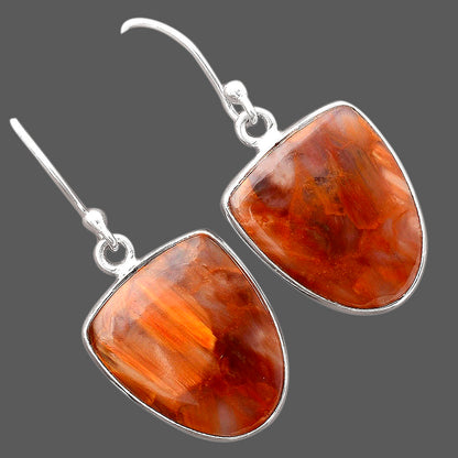 Natural Pietersite - Namibia Earrings E-1001 SDE87001