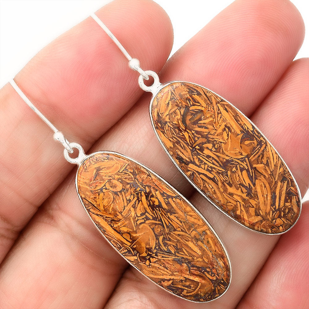 Natural Coquina Fossil Jasper India Earrings E-1001 SDE87841