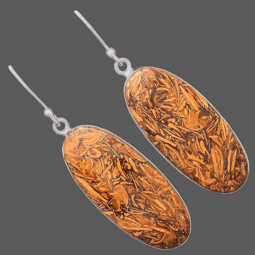 Natural Coquina Fossil Jasper India Earrings E-1001 SDE87841
