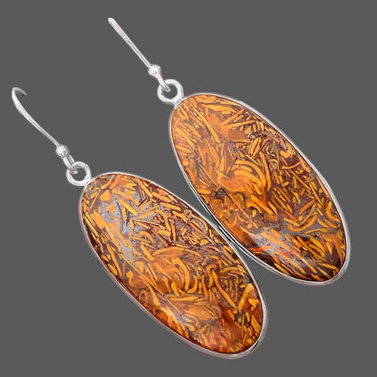 Natural Coquina Fossil Jasper India Earrings E-1001 SDE87862