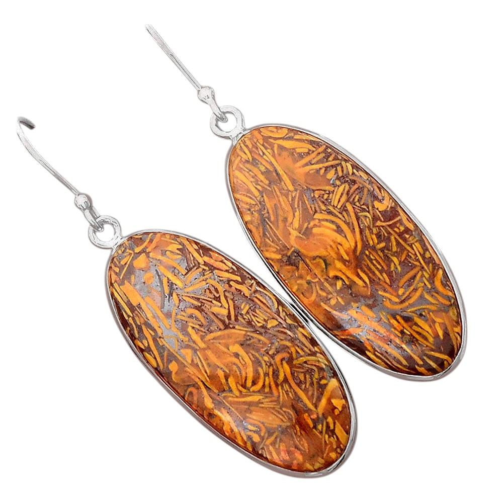 Natural Coquina Fossil Jasper India Earrings E-1001 SDE87862