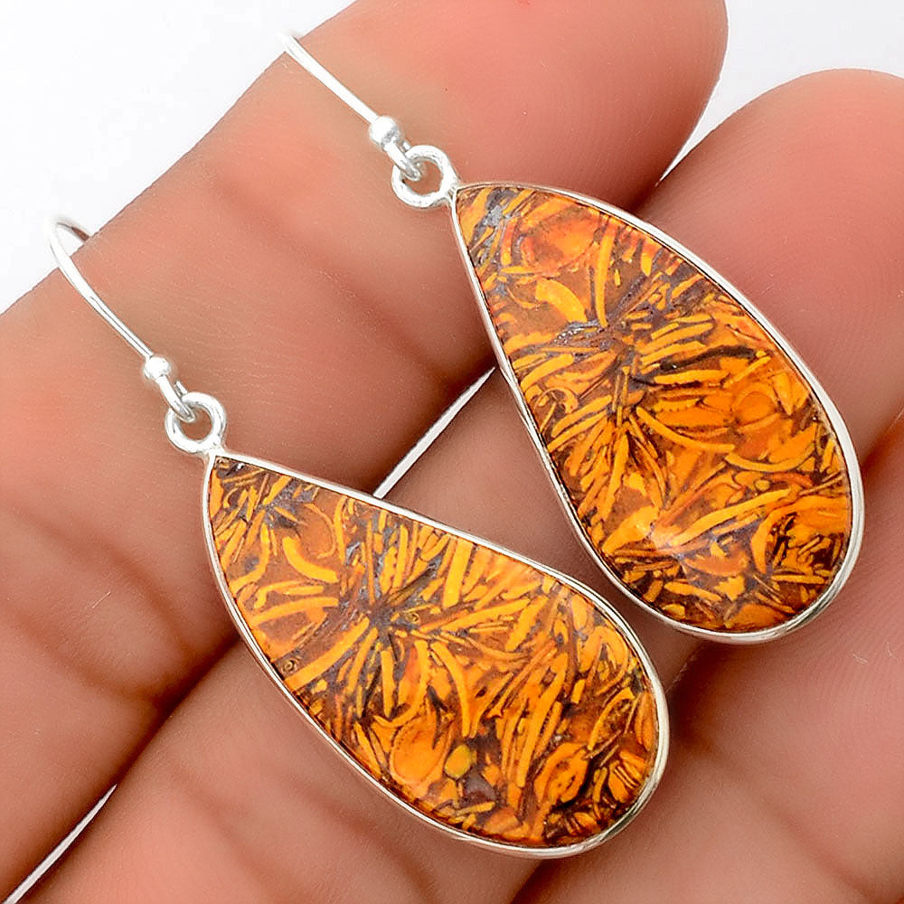 Natural Coquina Fossil Jasper India Earrings E-1001 SDE87865