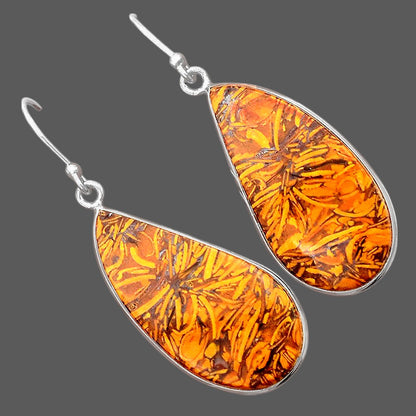 Natural Coquina Fossil Jasper India Earrings E-1001 SDE87865