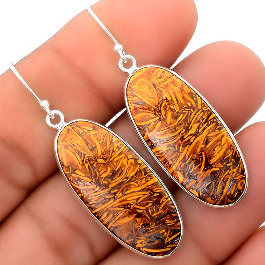Natural Coquina Fossil Jasper India Earrings E-1001 SDE87871