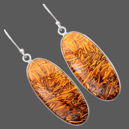 Natural Coquina Fossil Jasper India Earrings E-1001 SDE87871
