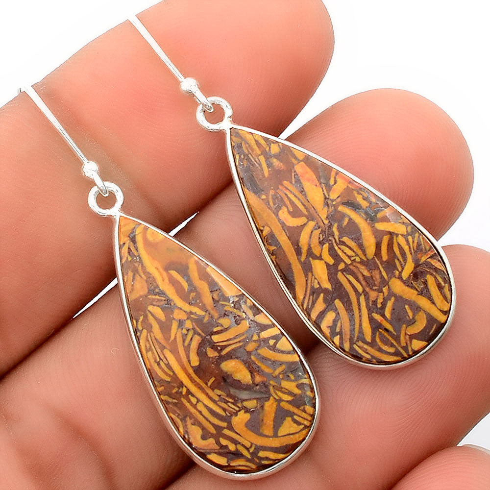 Natural Coquina Fossil Jasper India Earrings E-1001 SDE87872