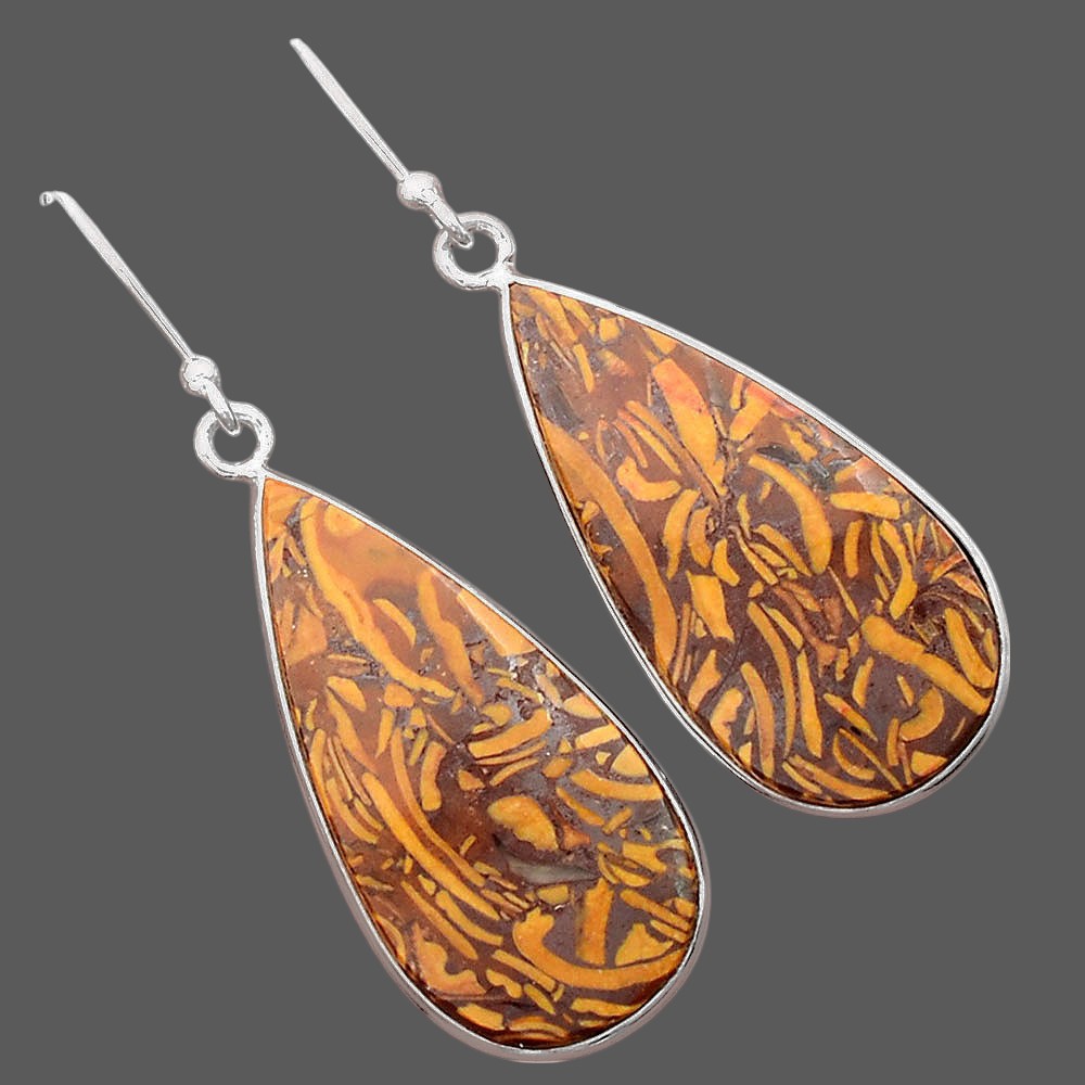 Natural Coquina Fossil Jasper India Earrings E-1001 SDE87872