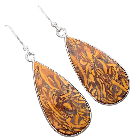 Natural Coquina Fossil Jasper India Earrings E-1001 SDE87872