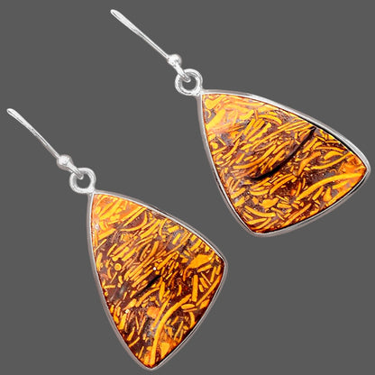 Natural Coquina Fossil Jasper India Earrings E-1001 SDE87875