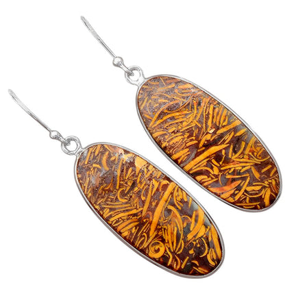 Natural Coquina Fossil Jasper India Earrings E-1001 SDE87882